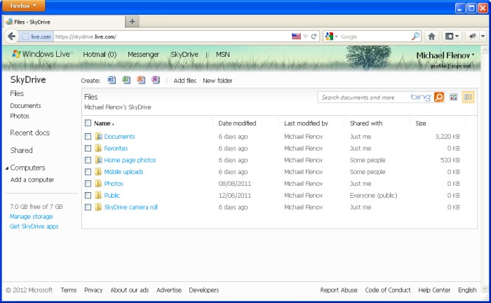 SkyDrive