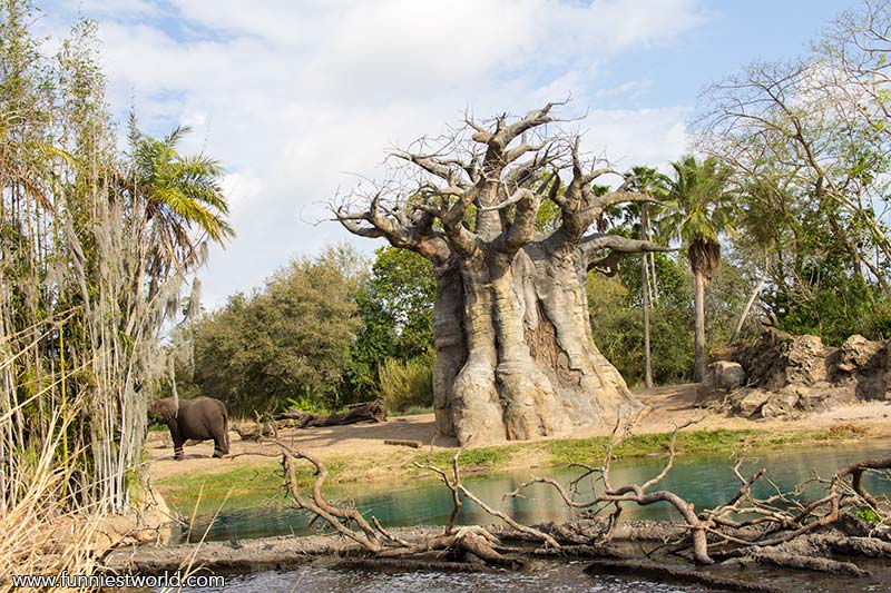 Animal Kingdom